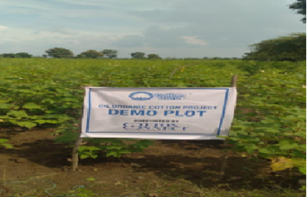 cottonguru-pradarshan-khets-demo-plots1